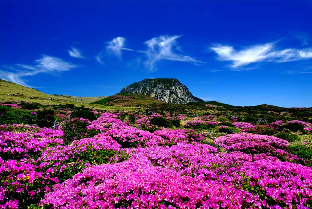 Halla-Mountain-Jeju
