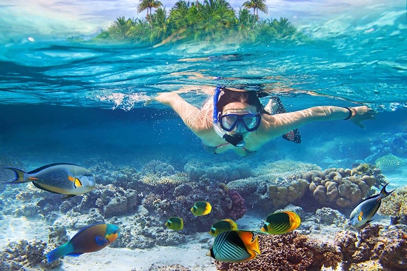 snorkeling-cebu