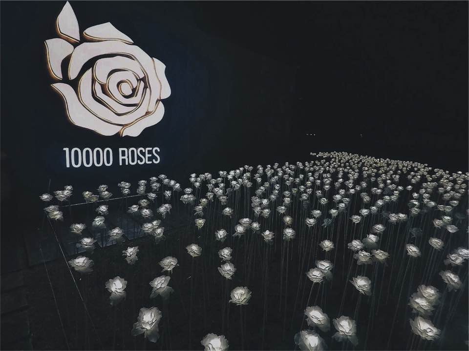 10000rosescafe-cebu