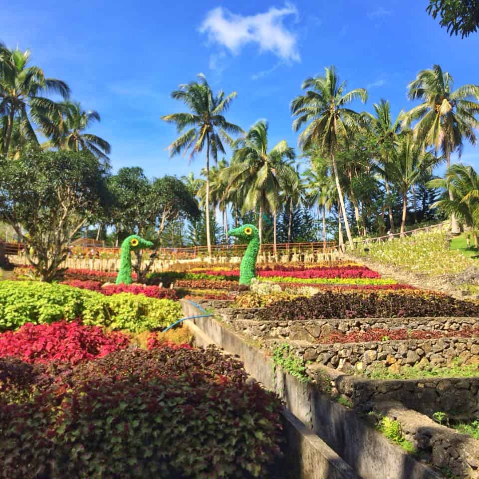 cebu safari zoo garden 2018