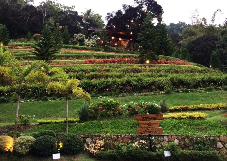 terrazas de flores busay