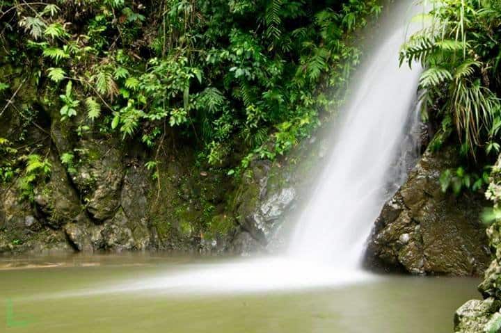 gaas falls balamban