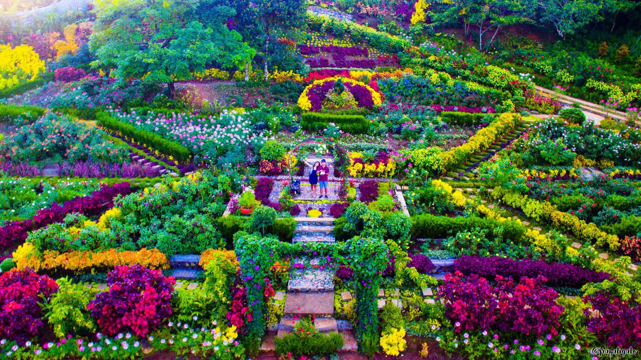 Buwakan ni Alejandra, Balamban's flower garden Sugbo.ph Cebu