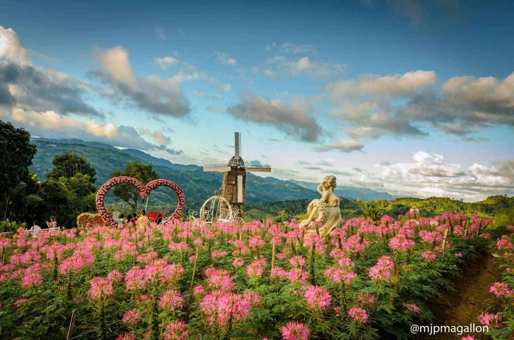 Most Beautiful Flower Gardens In Cebu