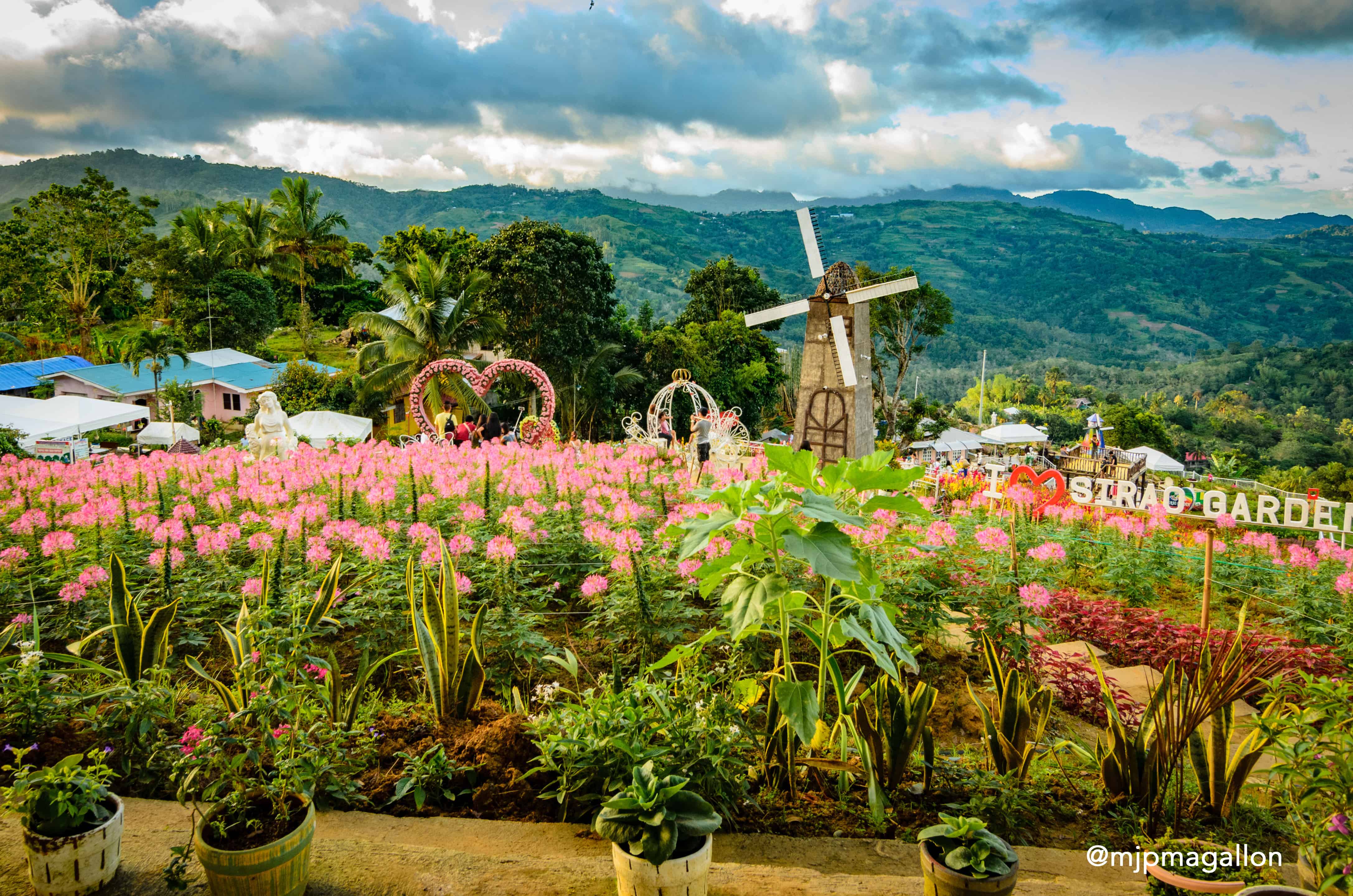 Sirao Garden Location Map The New Sirao Flower Gardens In Cebu City