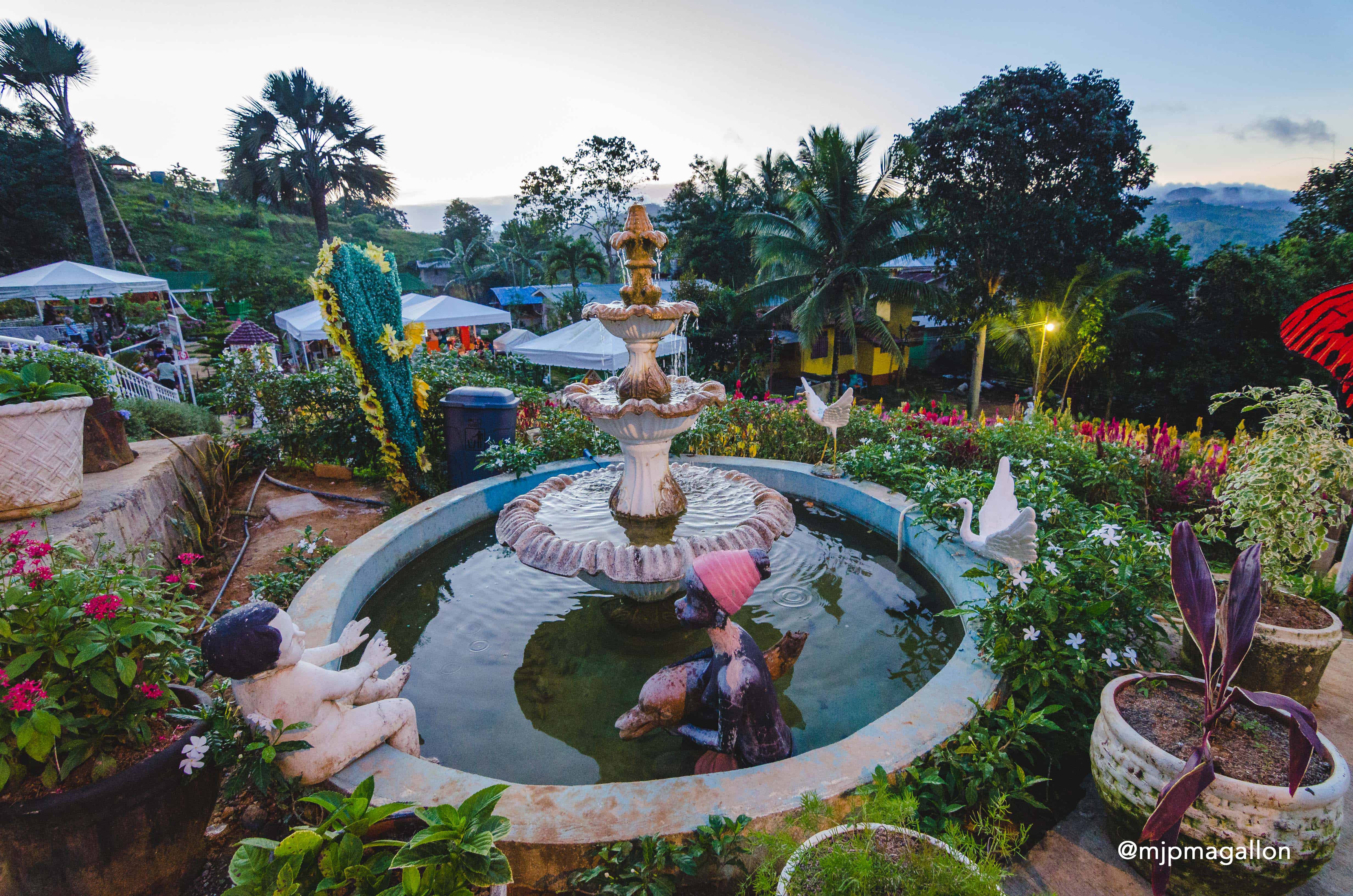 Top 5 Flower Gardens In Cebu Sugbo Ph Cebu