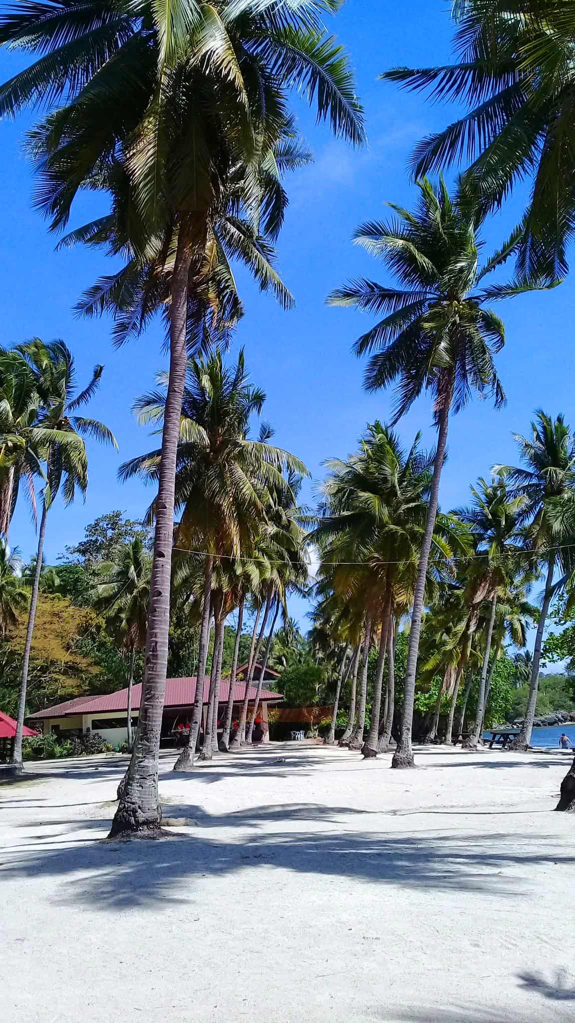 dalaguete cebu tourist spots