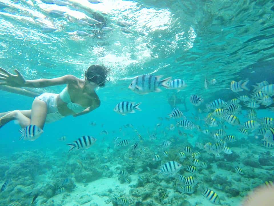 200-Peso Challenge: San Vicente Boardwalk Sanctuary in Olango Island