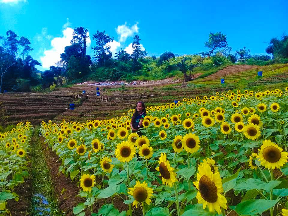 dalaguete tourist attractions