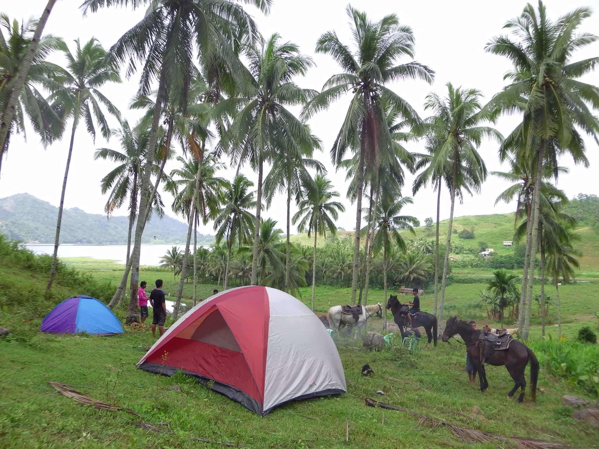 Big Q Farm Horseback Riding Cebu (8)