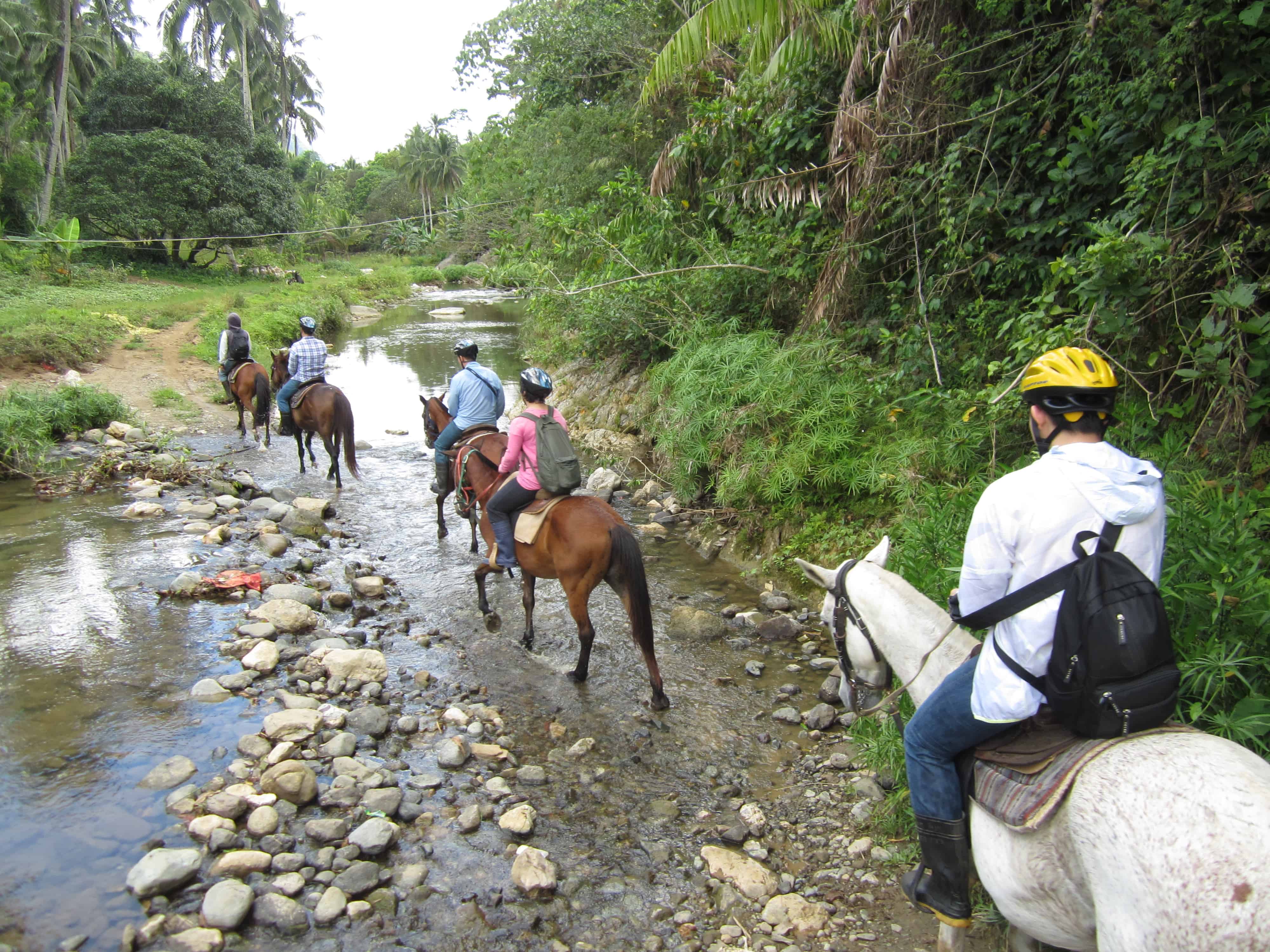 Big Q Farm Horseback Riding Cebu (9)