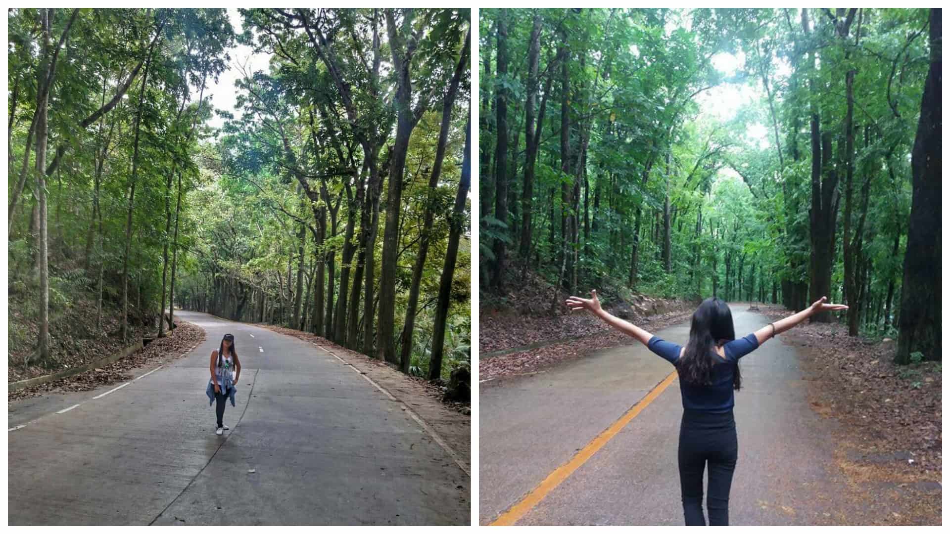 1manmadeforest-cebu