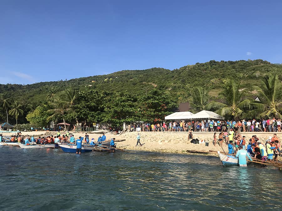 oslob whale shark cebu