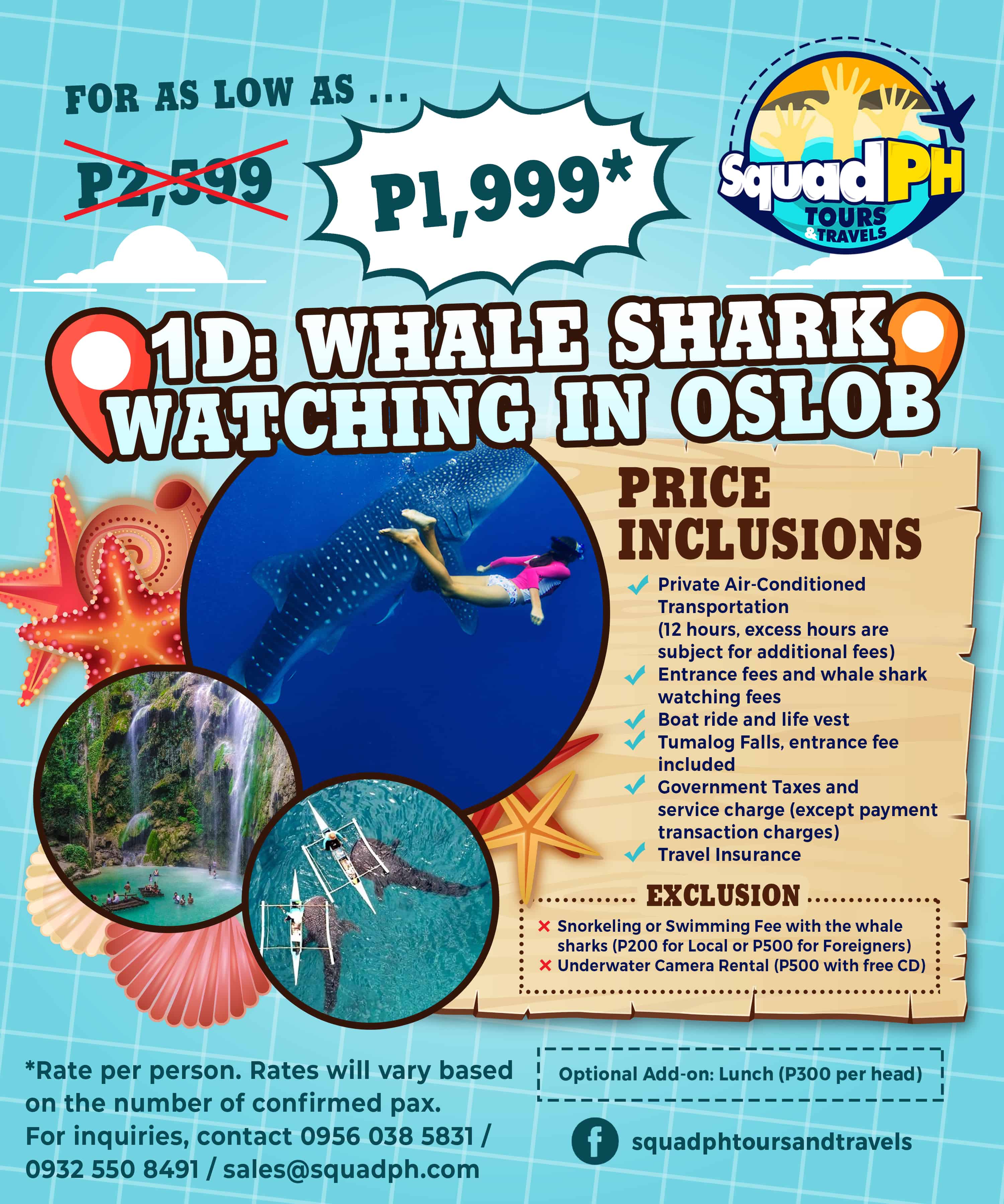 whale tour cebu