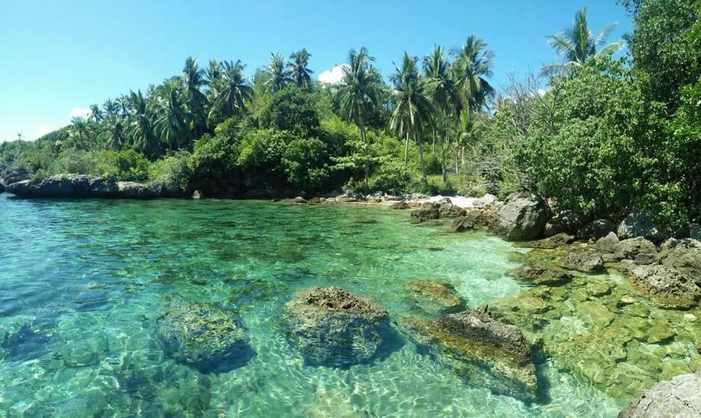 Badiang Gamay Beach Tabogon Cebu (1)