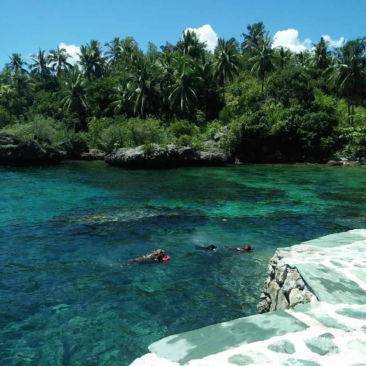 Badiang Gamay Beach Tabogon Cebu (11)