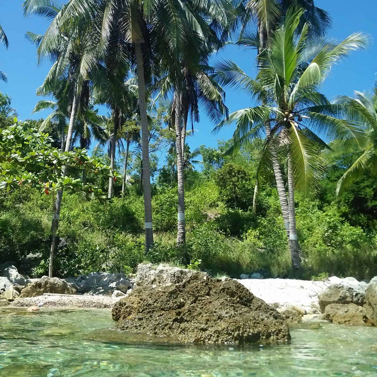 Badiang Gamay Beach Tabogon Cebu (8)