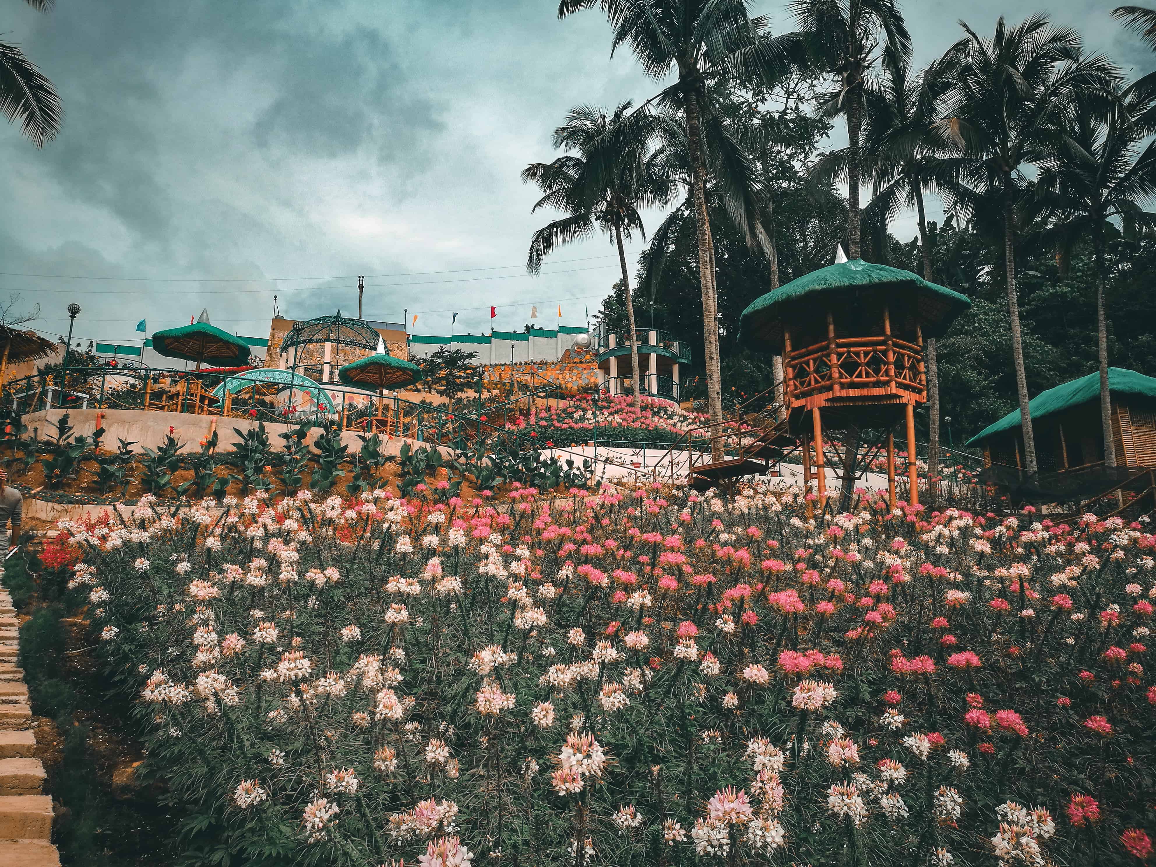 MSDEA Ornamental Garden Cebu City (1)