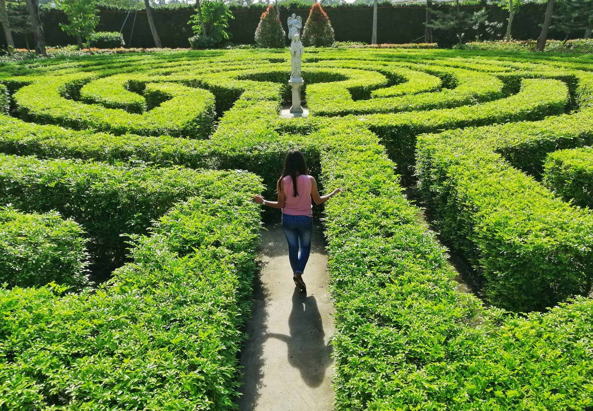 labyrinth-mazegarden-toledocebu3