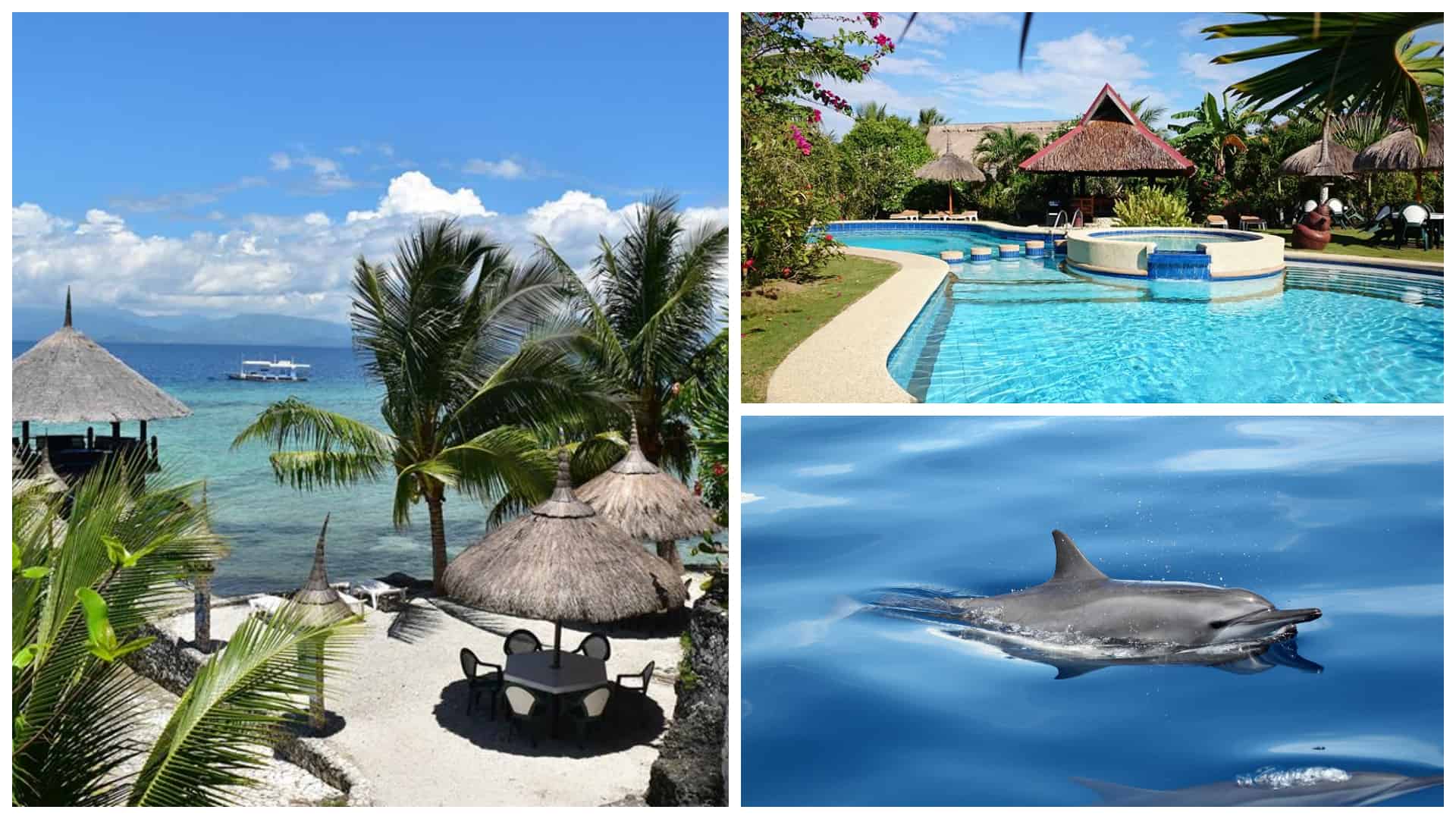 Dolphin House Resort Moalboal Cebu