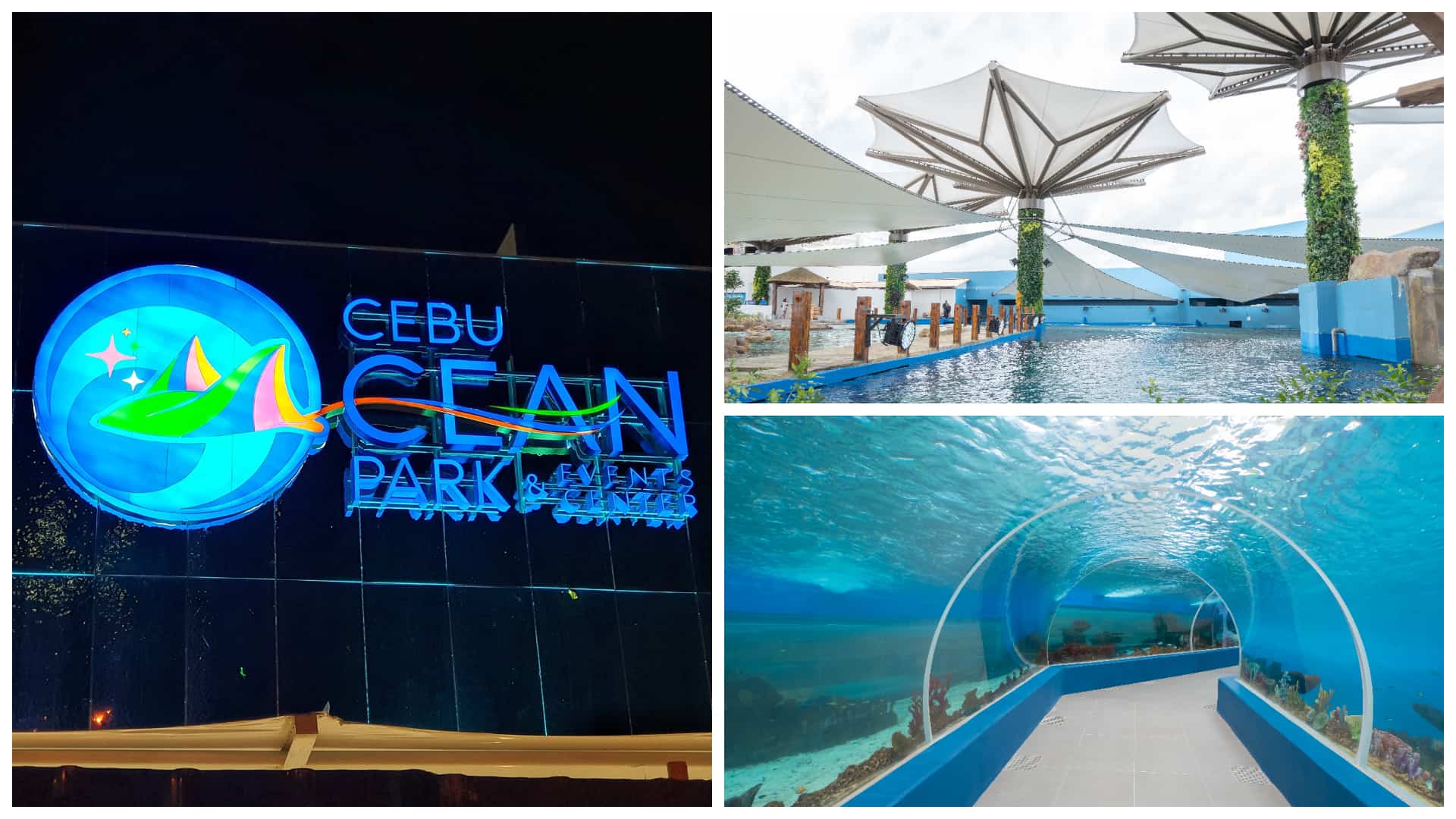 cebu-ocean-park