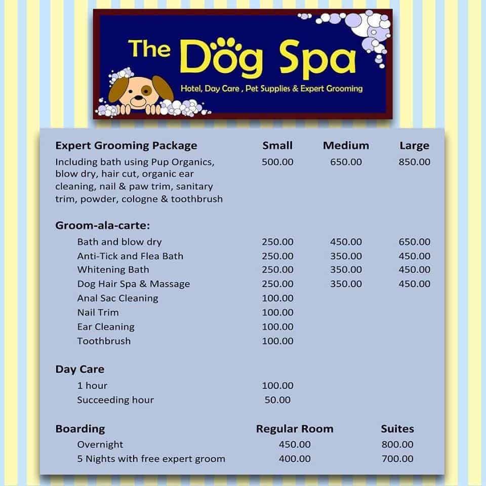 Dog spa and store hotel