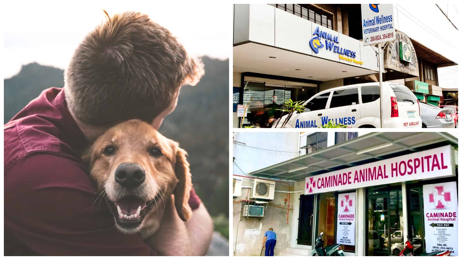 1Veterinary Clinics in Metro Cebu