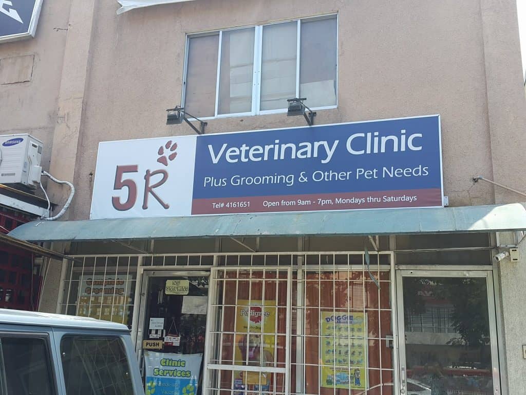 vet clinic near me open saturday