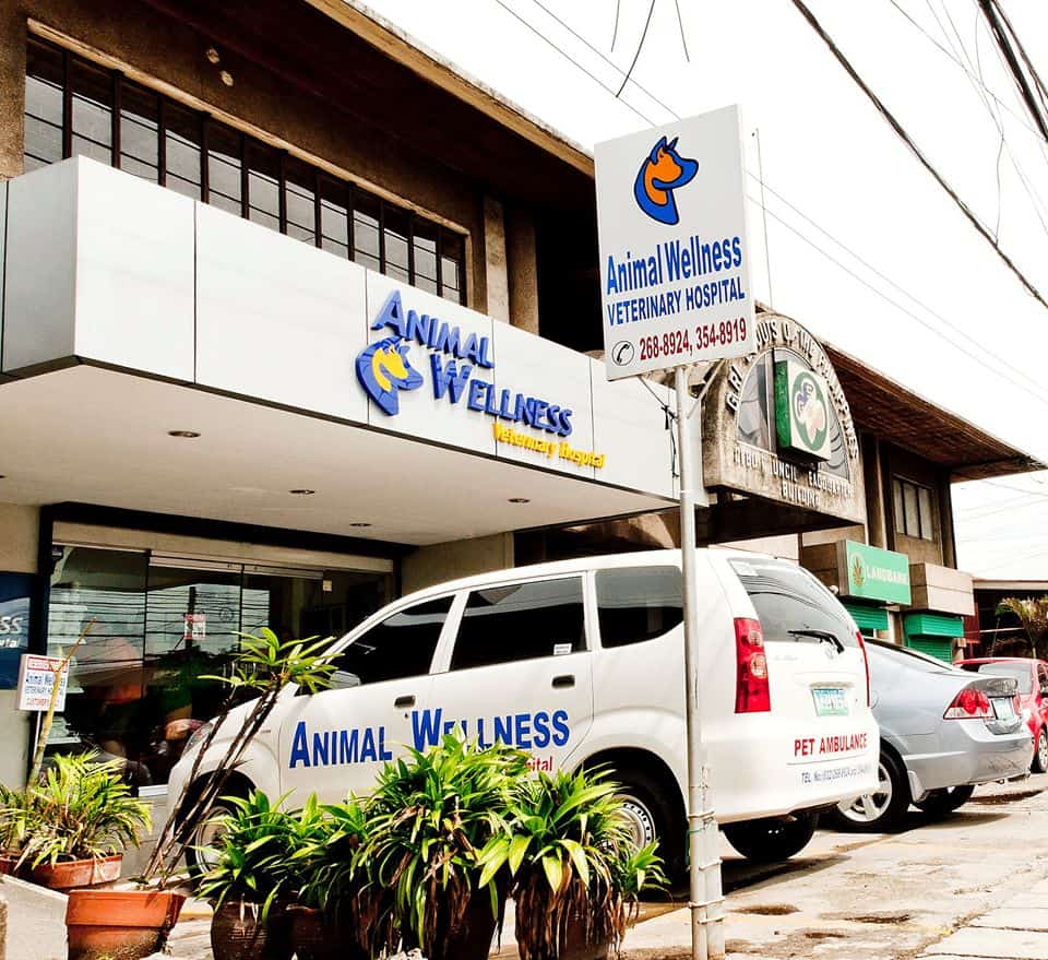 8 Trusted Veterinary Clinics in Metro Cebu | Sugbo.ph