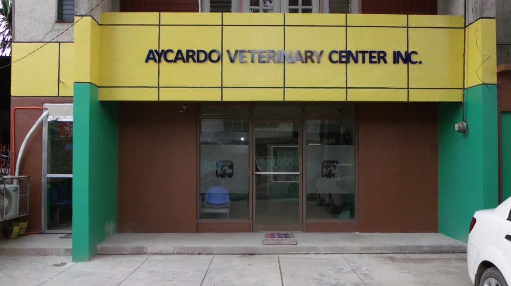 8 Trusted Veterinary Clinics in Metro Cebu | Sugbo.ph - Cebu