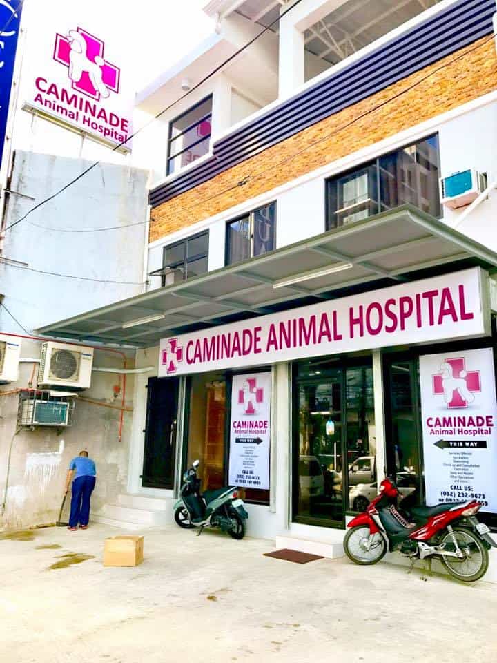 cebu veterinary clinic btc
