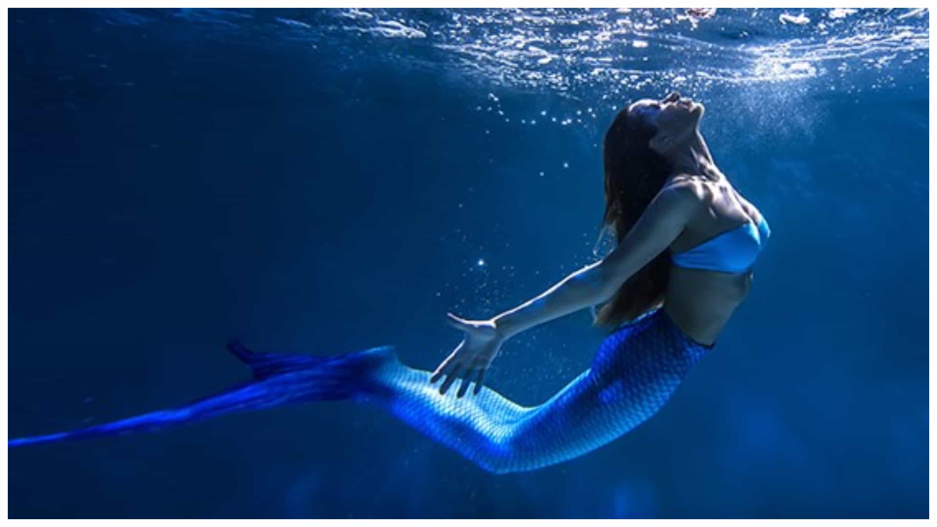 Cebu Ocean Park Hiring Mermaids 2020