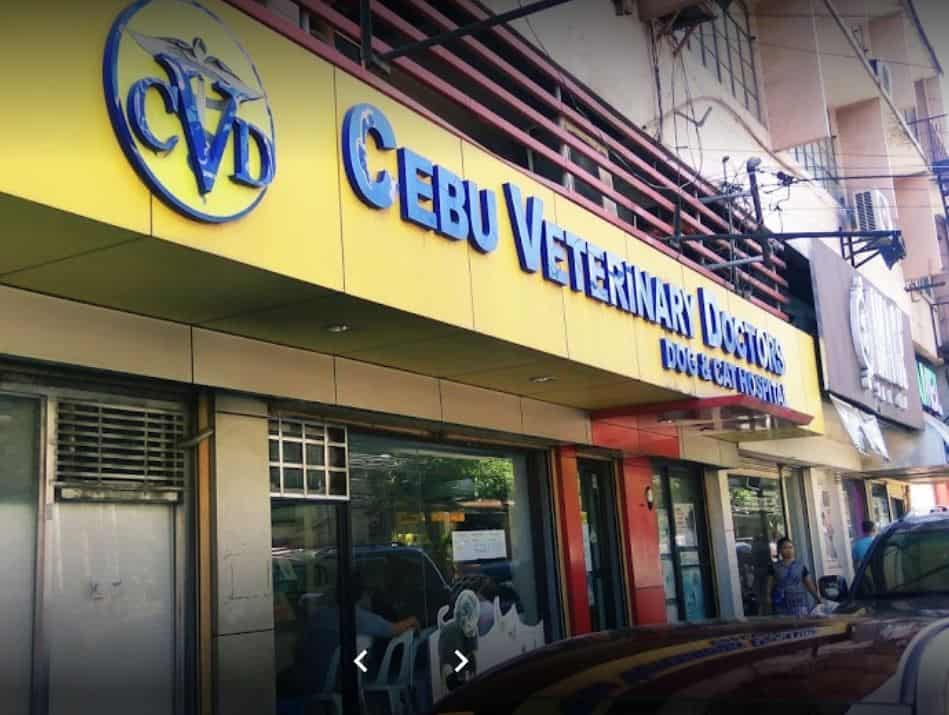 8 Trusted Veterinary Clinics in Metro Cebu | Sugbo.ph - Cebu