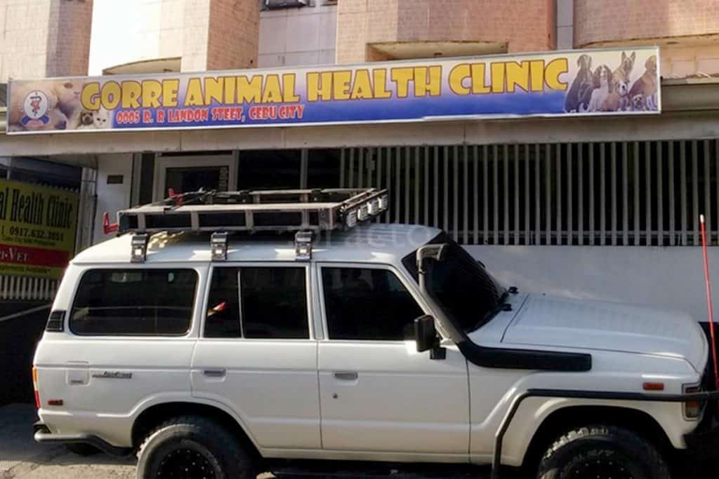 8 Trusted Veterinary Clinics in Metro Cebu