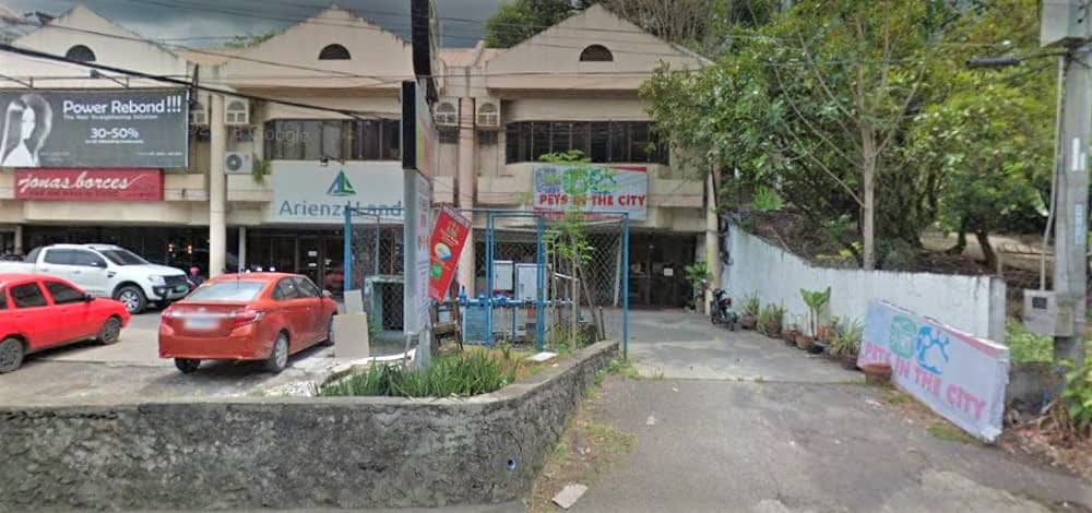 8 Trusted Veterinary Clinics in Metro Cebu