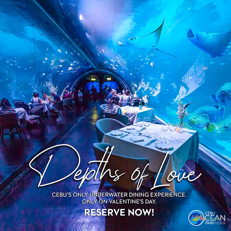 Cebu Ocean Park Depths of Love 2