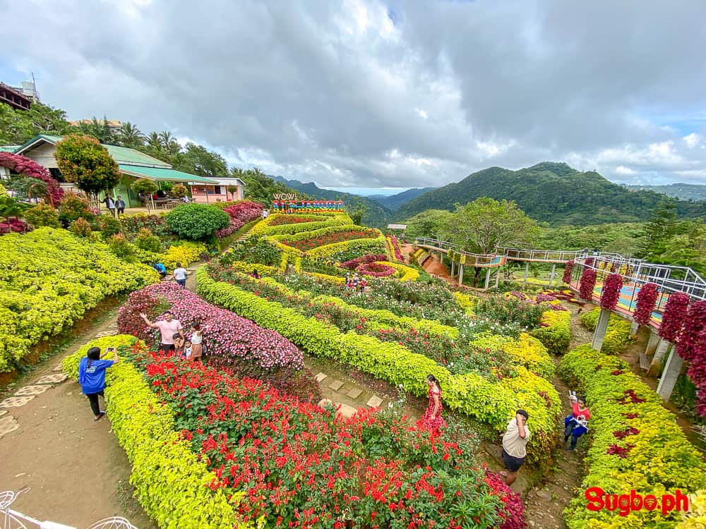 Beautiful Flower Gardens In The Philippines