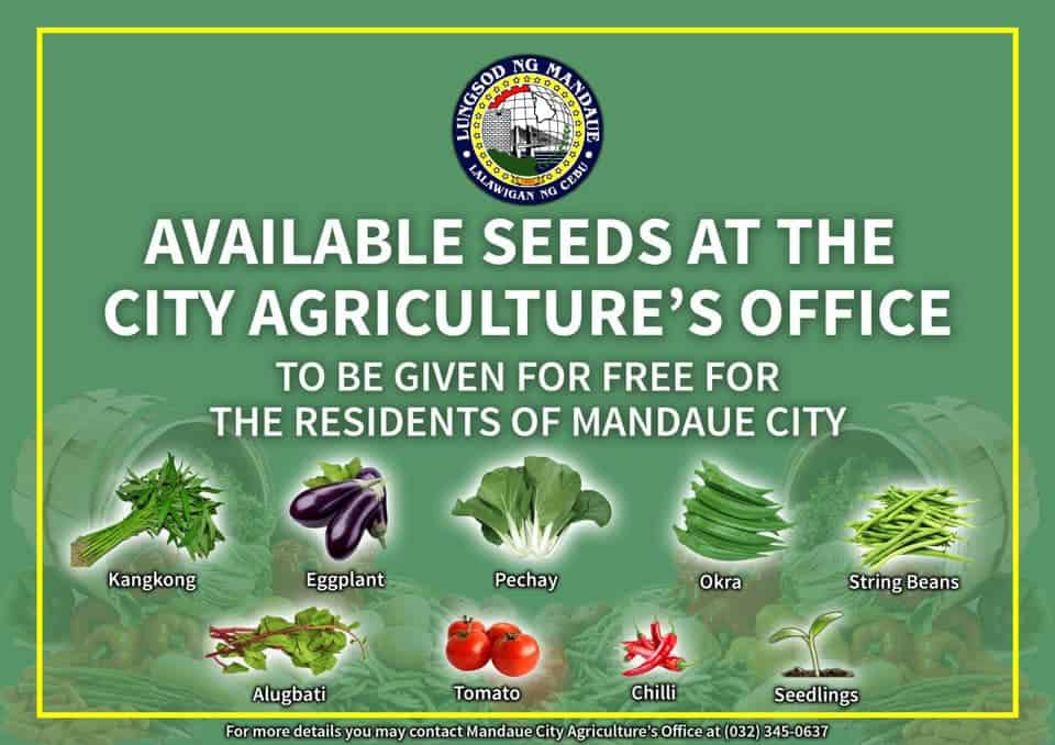 Mandaue-City-Free-Vegetable-Seeds-2