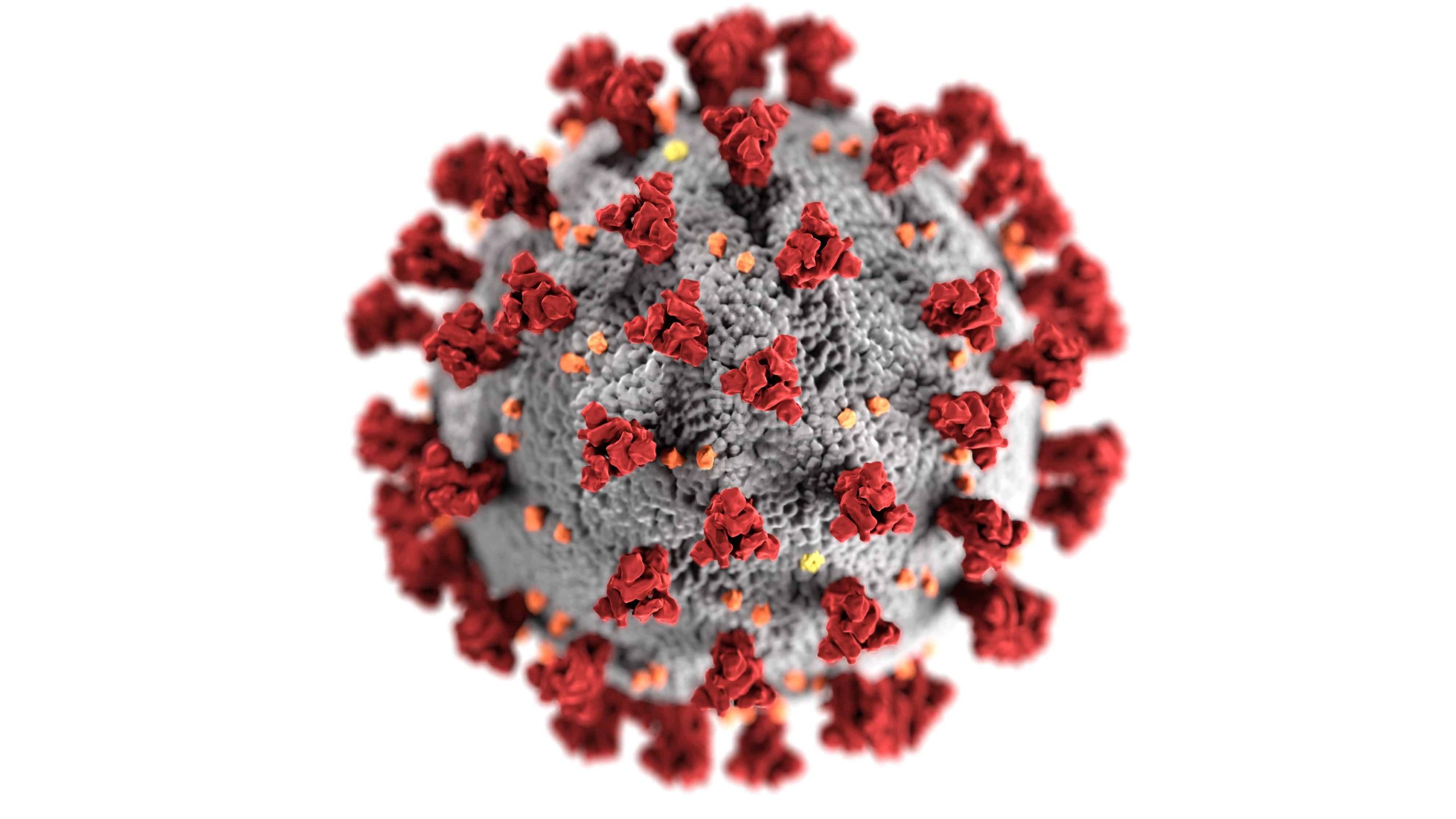 coronavirus illustration covid19