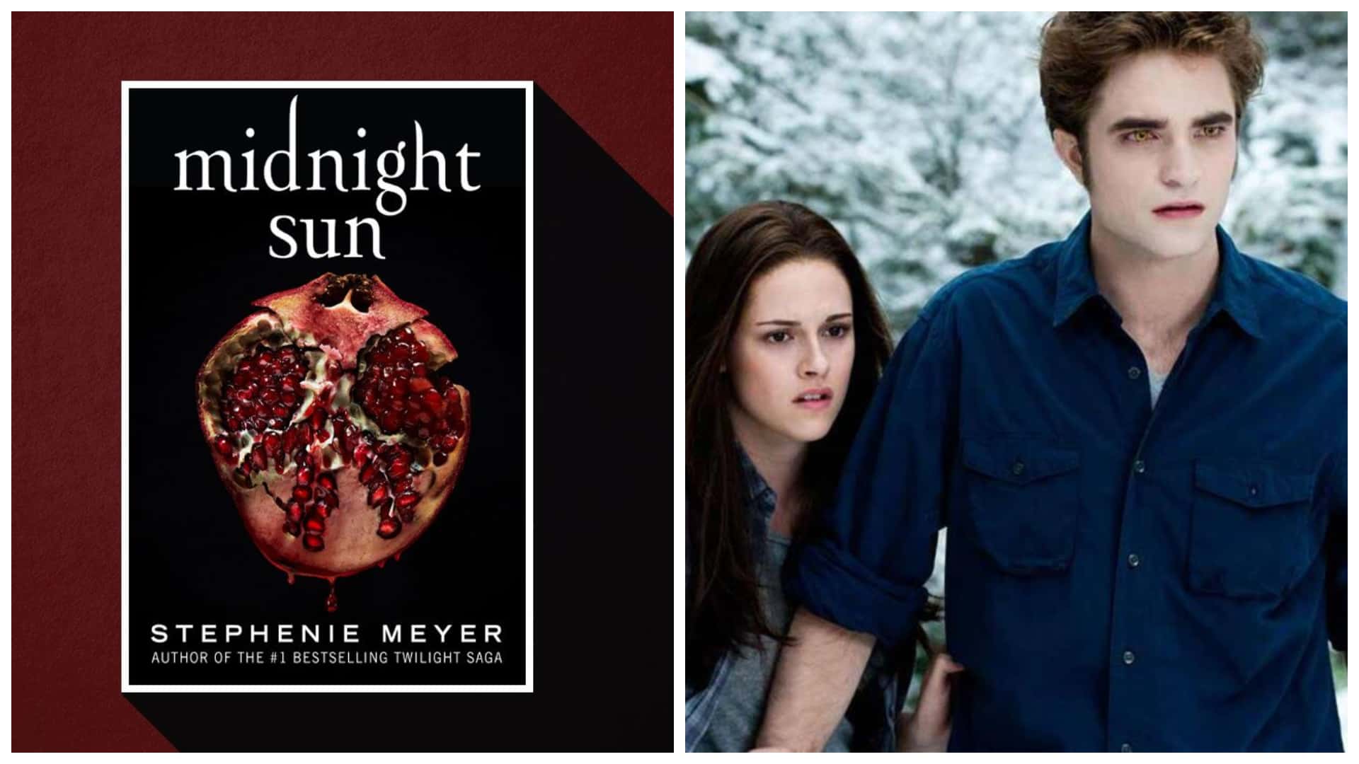 Midnight Sun Book  Twilight book, Midnight sun twilight, Midnight