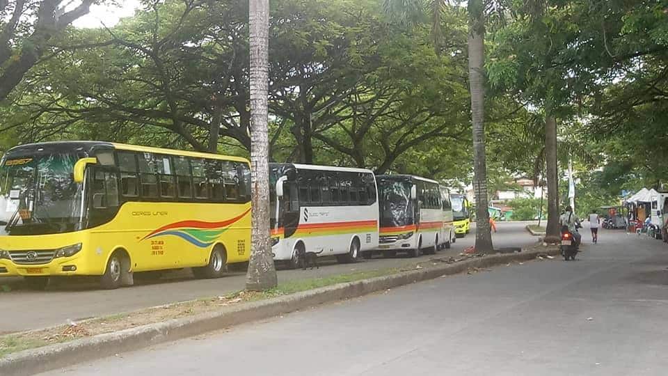 cebu bus