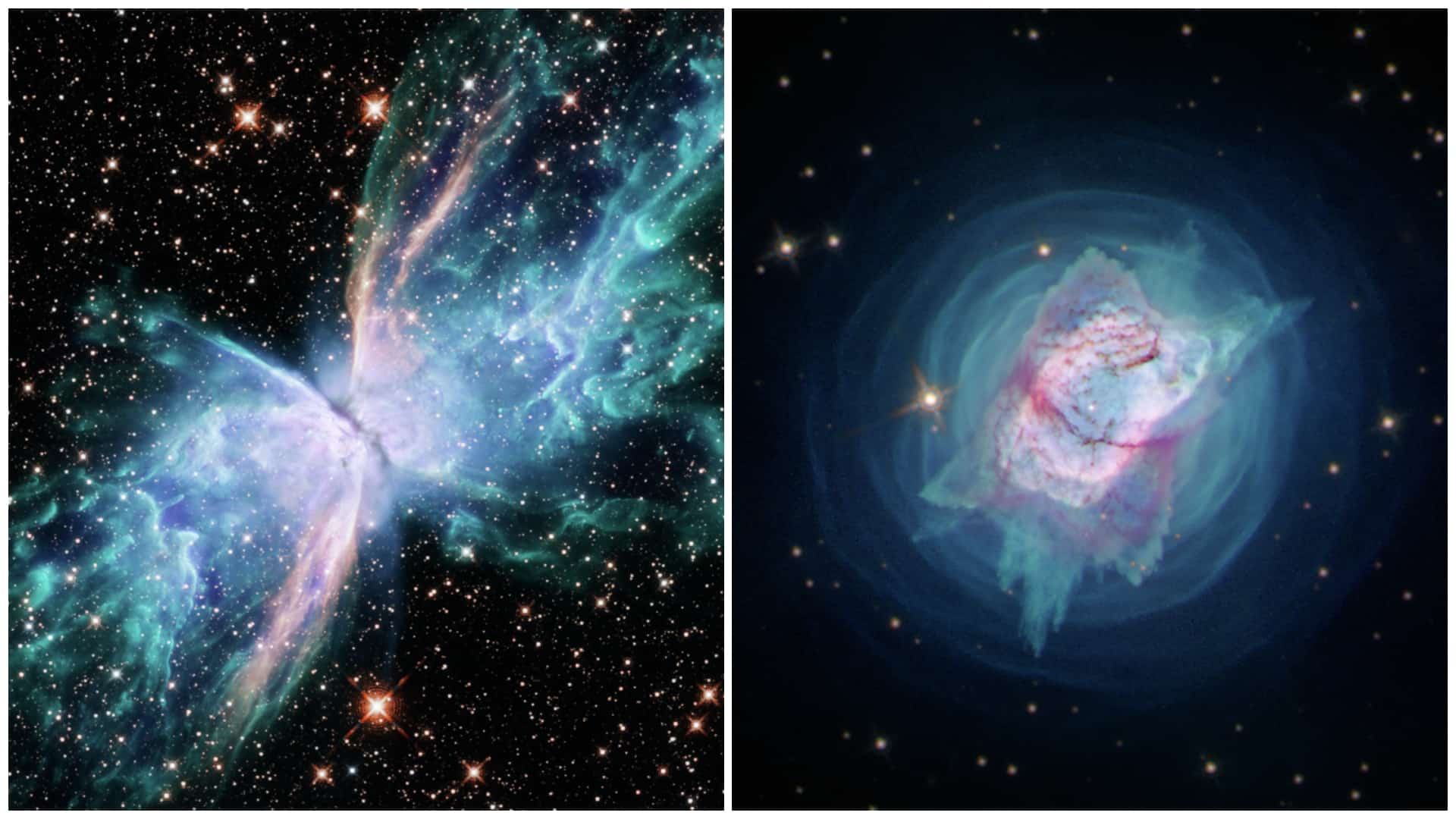 NASA Butterfly Nebula Jewel Bug