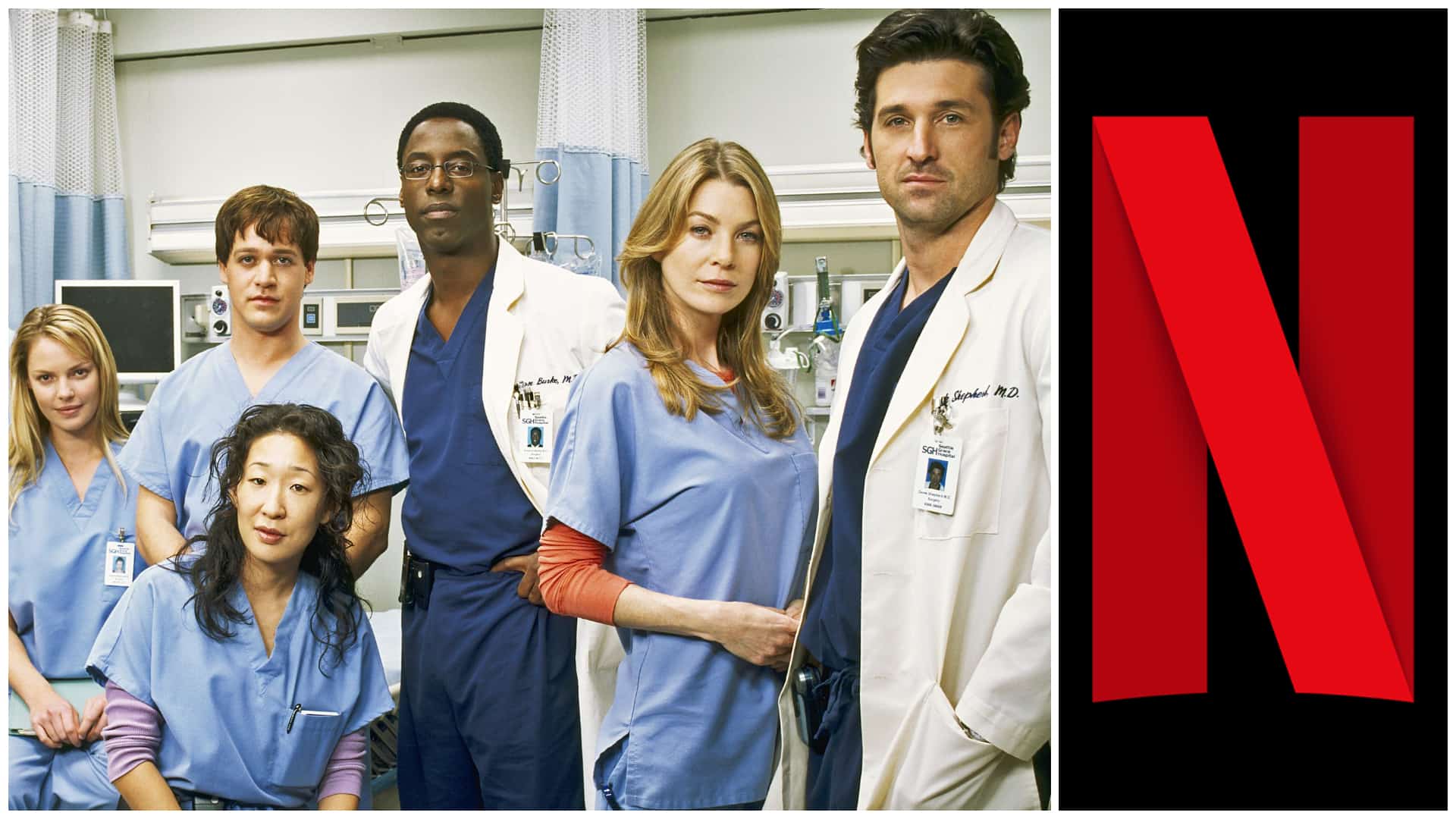 1 Netflix Greys Anatomy All Seasons