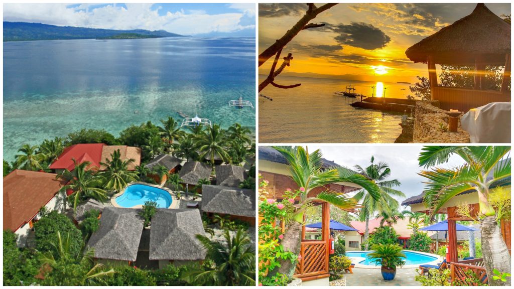 Magic Island Dive Resort Beachfront Stay And Underwater Experience In 