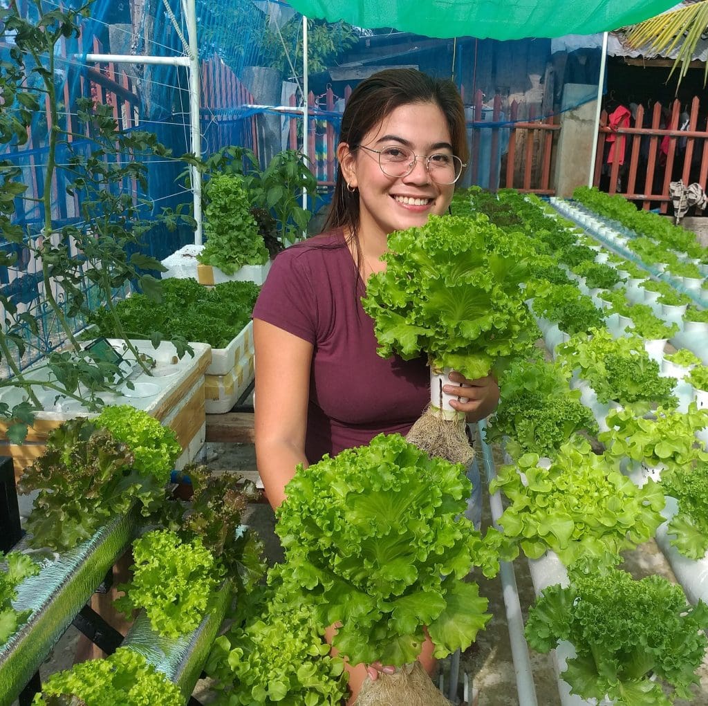 Couple in Medellin grows fresh lettuce in a cup through hydroponics