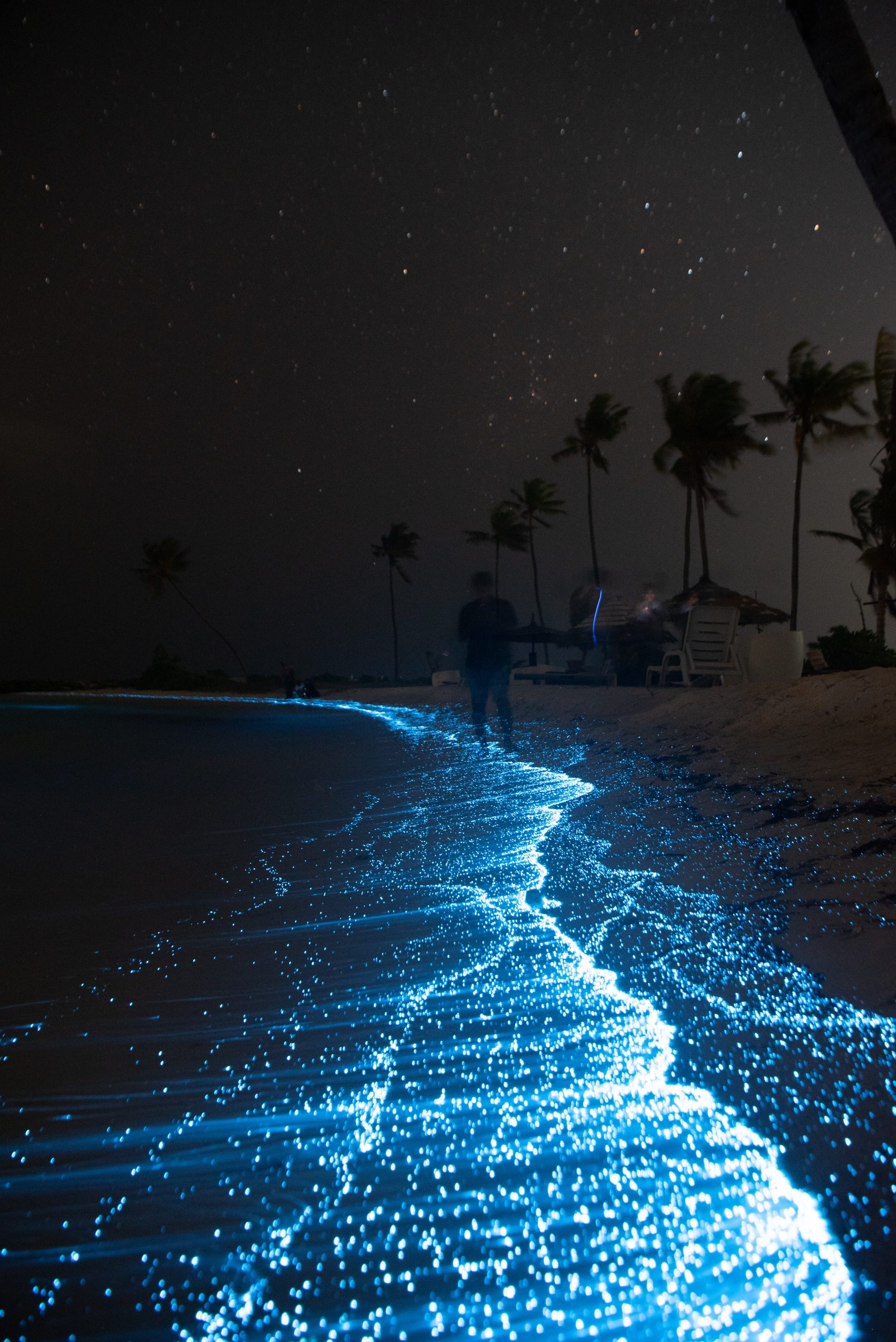 Beach with bioluminescent Planktons Discovered in Cebu