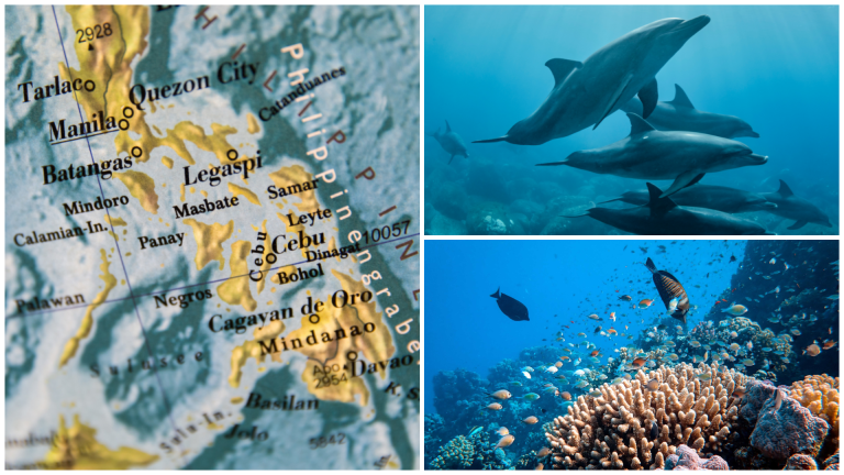 LOOK: The Country’s Largest Marine Protected Area Is In The Visayas!