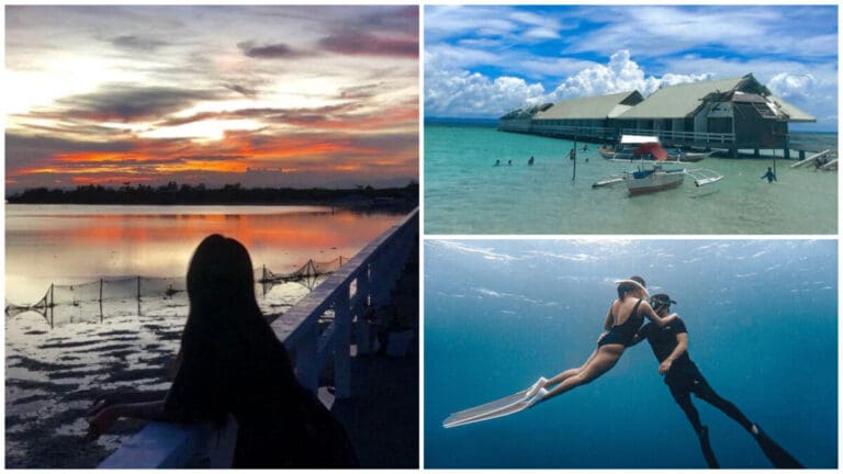 Dive into Adventure: Discovering the Underwater Wonders of Gilutongan Island