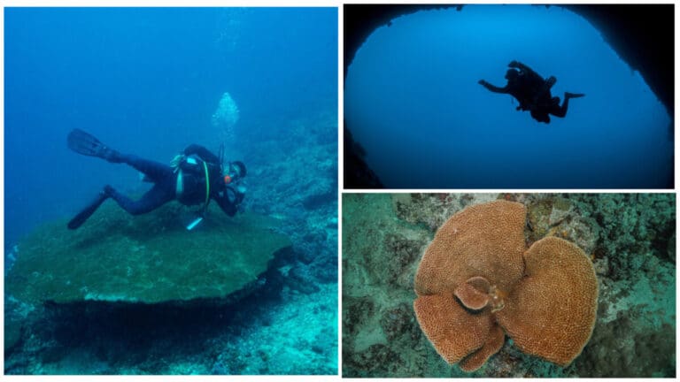 Exploring Marigondon Cave: Treasures Beneath the Mactan Waters