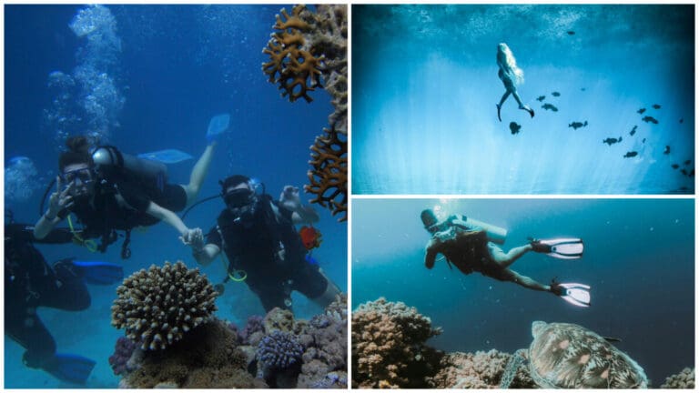 Beginners’ Guide: Scuba Certifications You Can Get in Cebu